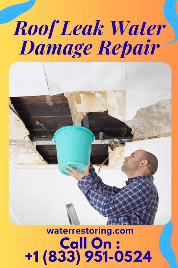 Roof Leak Water Damage Repair in Oxford, PA