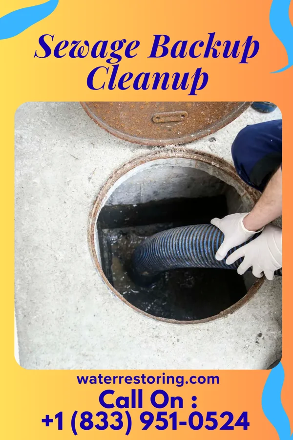 Sewage Backup Cleanup in Oxford, PA